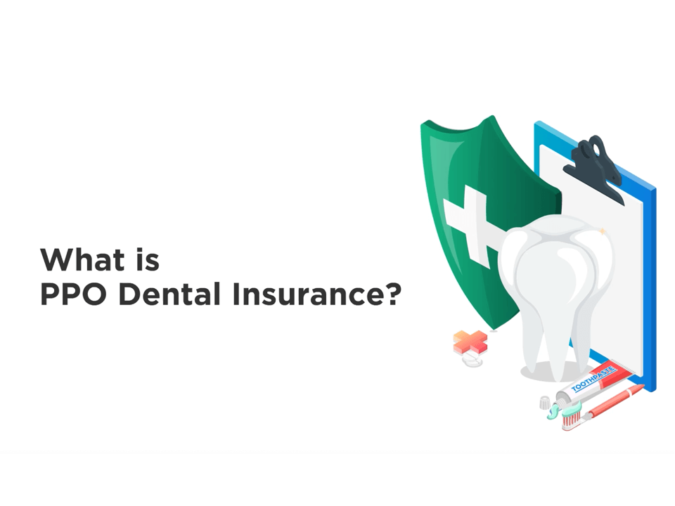 Video thumbnail for PPO Dental Insurance